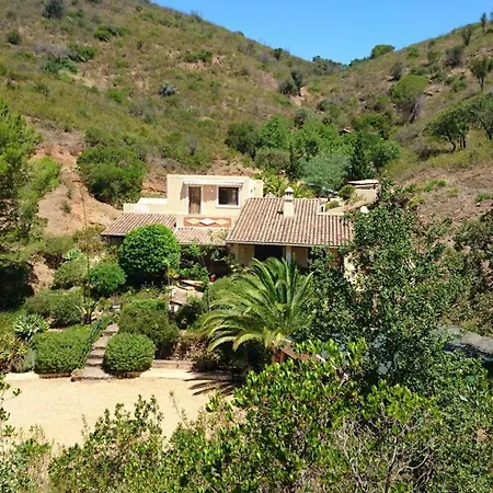 Terra Delicias * Morenos