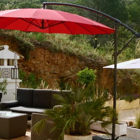 Terra Delicias * Morenos